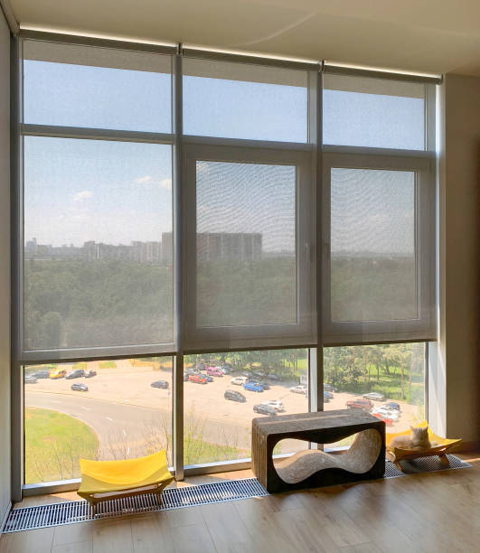 Roller blinds on the windows in the interior. Automatic solar shades on full height windows. Motorized sunscreen blinds with screen fabric. Ginger cat lies on a couch near the window with curtains.